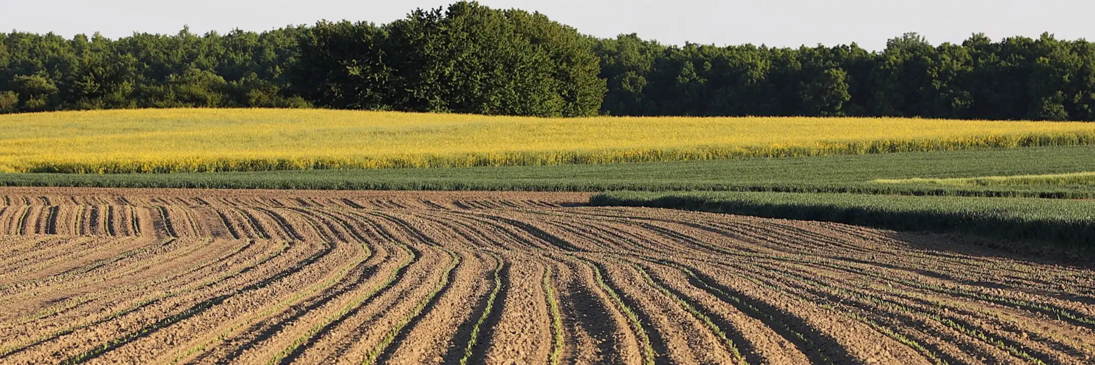 Hommage funéraire sur le thème de l'agriculture