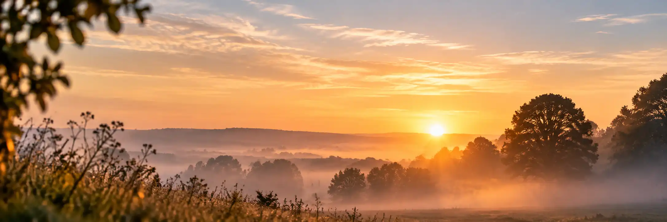 Paysage symbolisant le souvenir