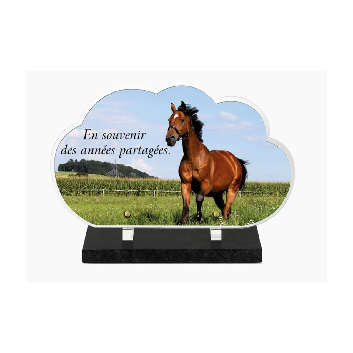 CA-09 – plaque Altuglas personnalisable – Plaques Funéraires Créations®