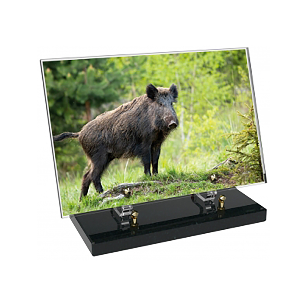Plaque funéraire Rectangle Altuglas 30x20 - Chasse – Plaques Funéraires Créations® – vue complémentaire