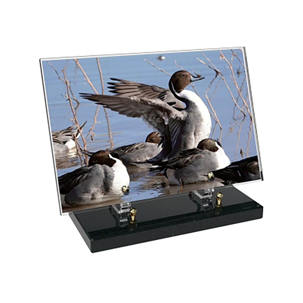 Plaque funéraire Rectangle Altuglas 30x20 - Chasse – Plaques Funéraires Créations® – vue complémentaire