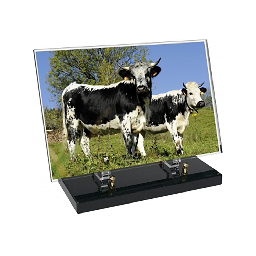 Plaque funéraire Rectangle Altuglas 30x20 - Agriculture – Plaques Funéraires Créations® – vue complémentaire