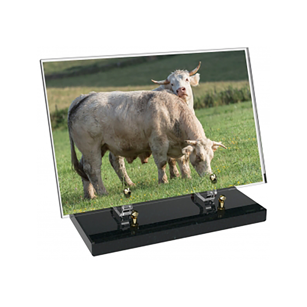 Plaque funéraire Rectangle Altuglas 30x20 - Agriculture – Plaques Funéraires Créations® – vue complémentaire