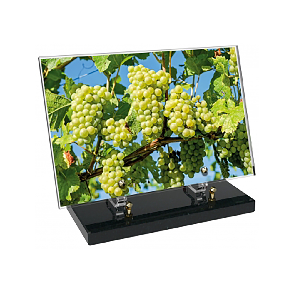 Plaque funéraire Rectangle Altuglas 30x20 - Agriculture – Plaques Funéraires Créations® – vue complémentaire